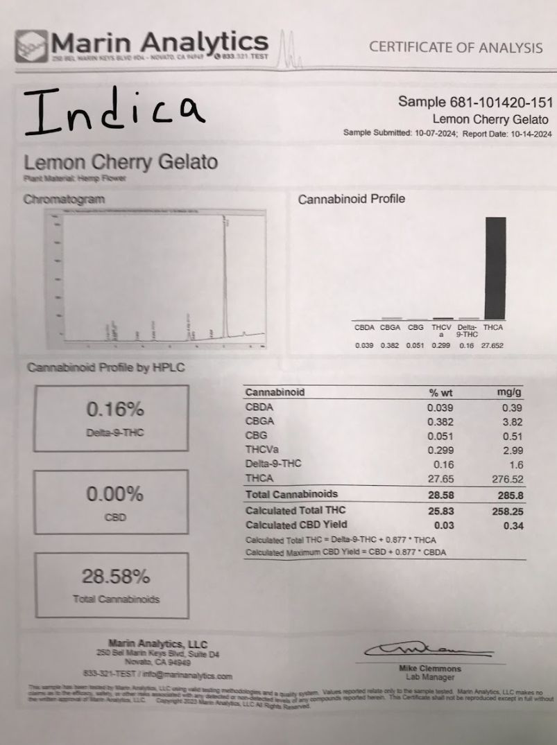 Lemon Cherry Gelato - Indica Flower
