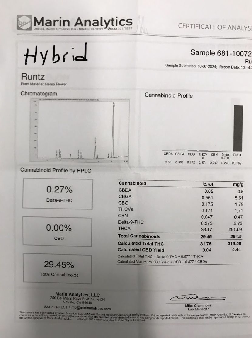 Luxxe Runtz - Hybrid Flower