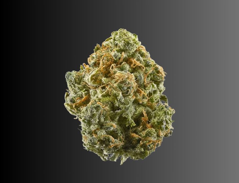 Orange Cream Pop - Sativa THCA Flower