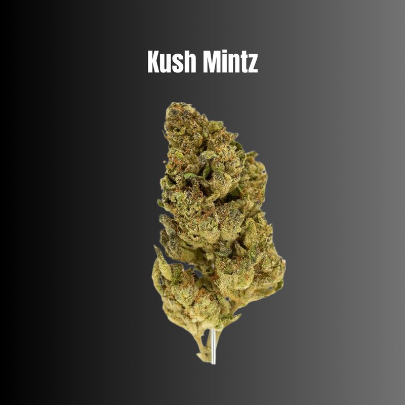 Kush Mintz - Sativa Flower