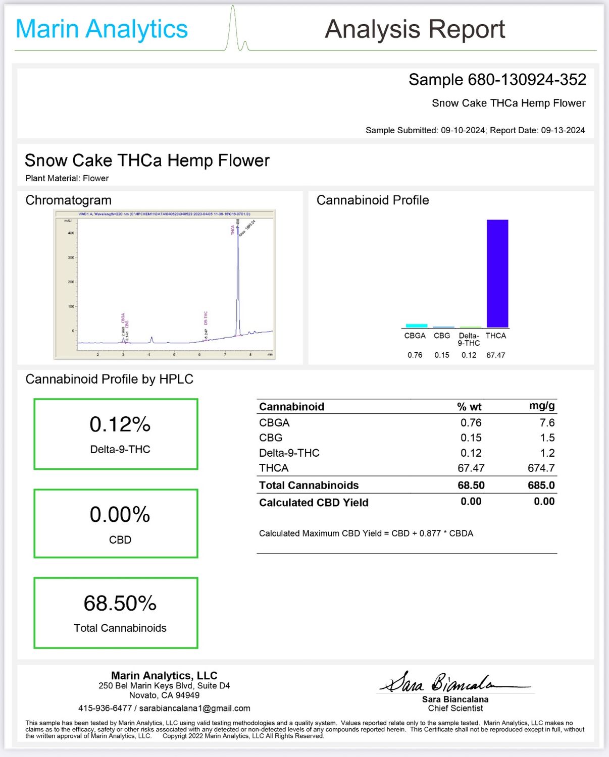 Snow Cake - Asteroids