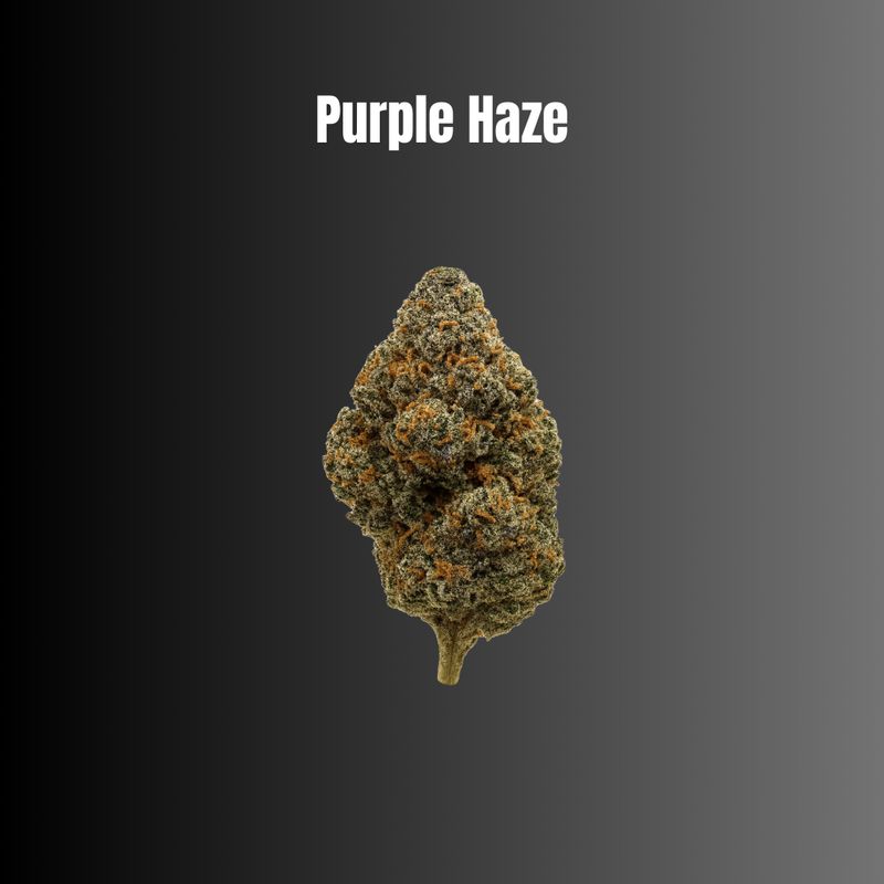 Purple Haze - Sativa Flower Purple Haze - Sativa Flower