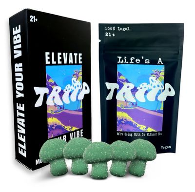 Triipco Mushroom Extract Gummies