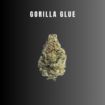 Gorilla Glue - Hybrid Flower