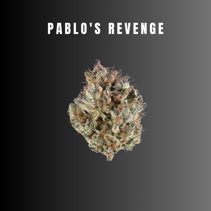 Pablo's Revenge - Hybrid Flower Pablo's Revenge - Hybrid Flower