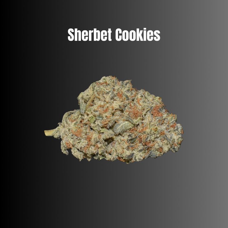Sherbet Cookies - Hybrid Flower