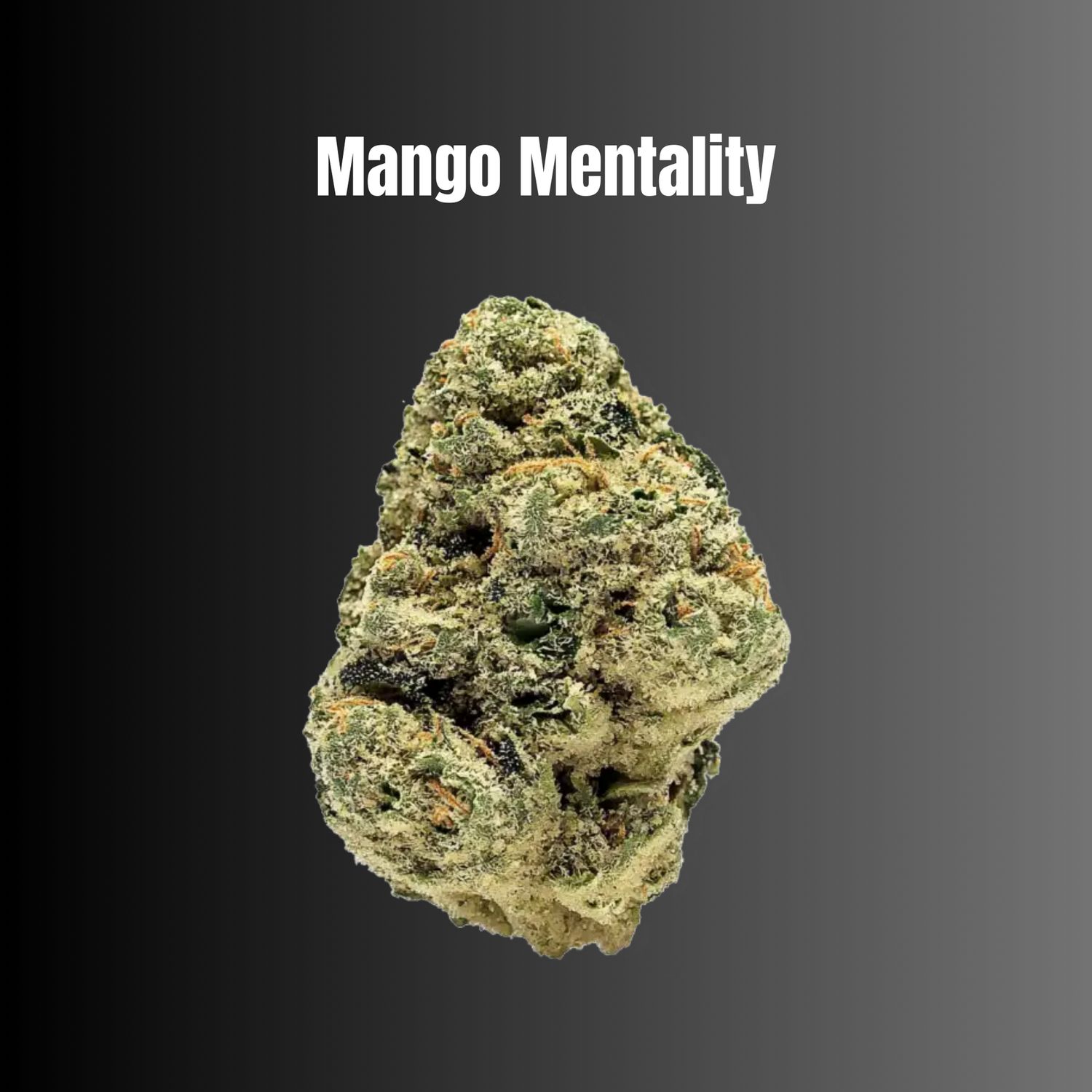 Mango Mentality - Indica Flower