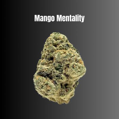 Mango Mentality - Indica Flower