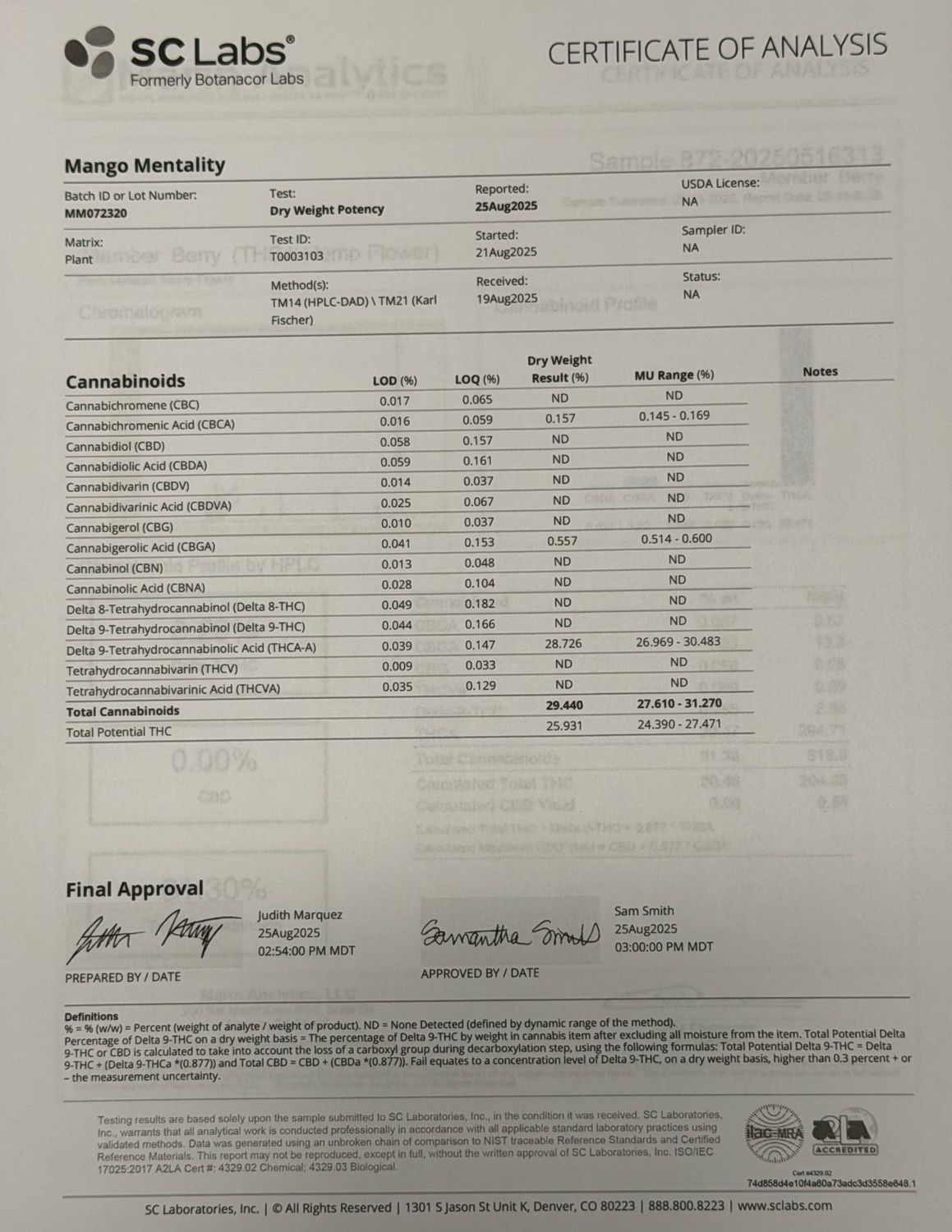 Mango Mentality - Indica Flower
