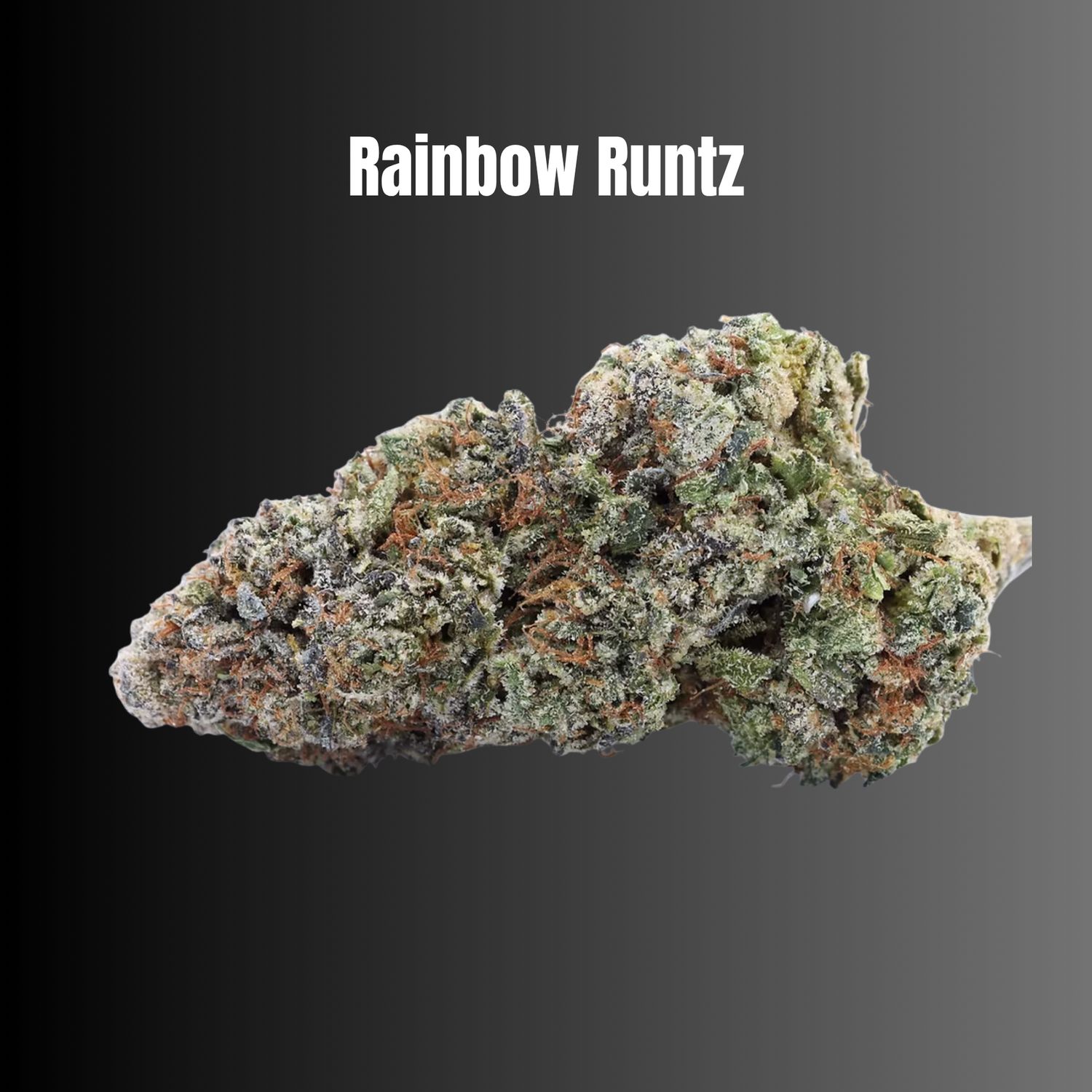 Rainbow Runtz - Hybrid Flower