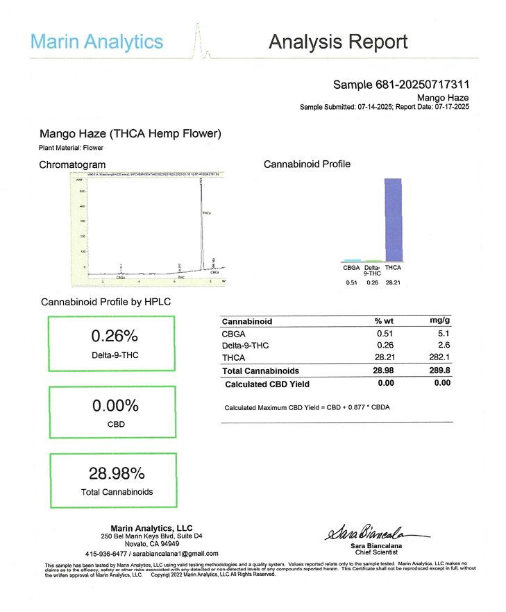 Mango Haze - Sativa Flower