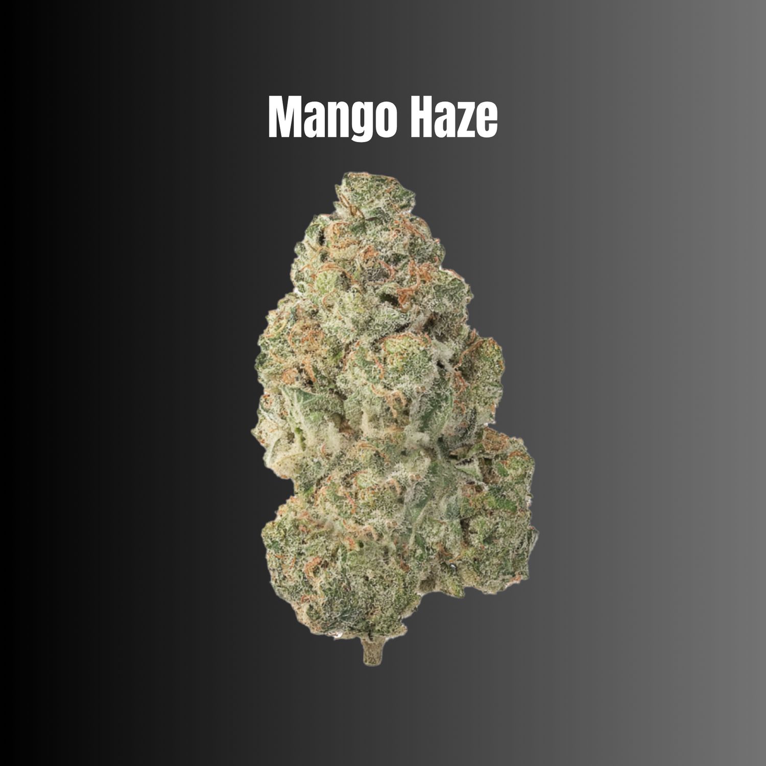 Mango Haze - Sativa Flower