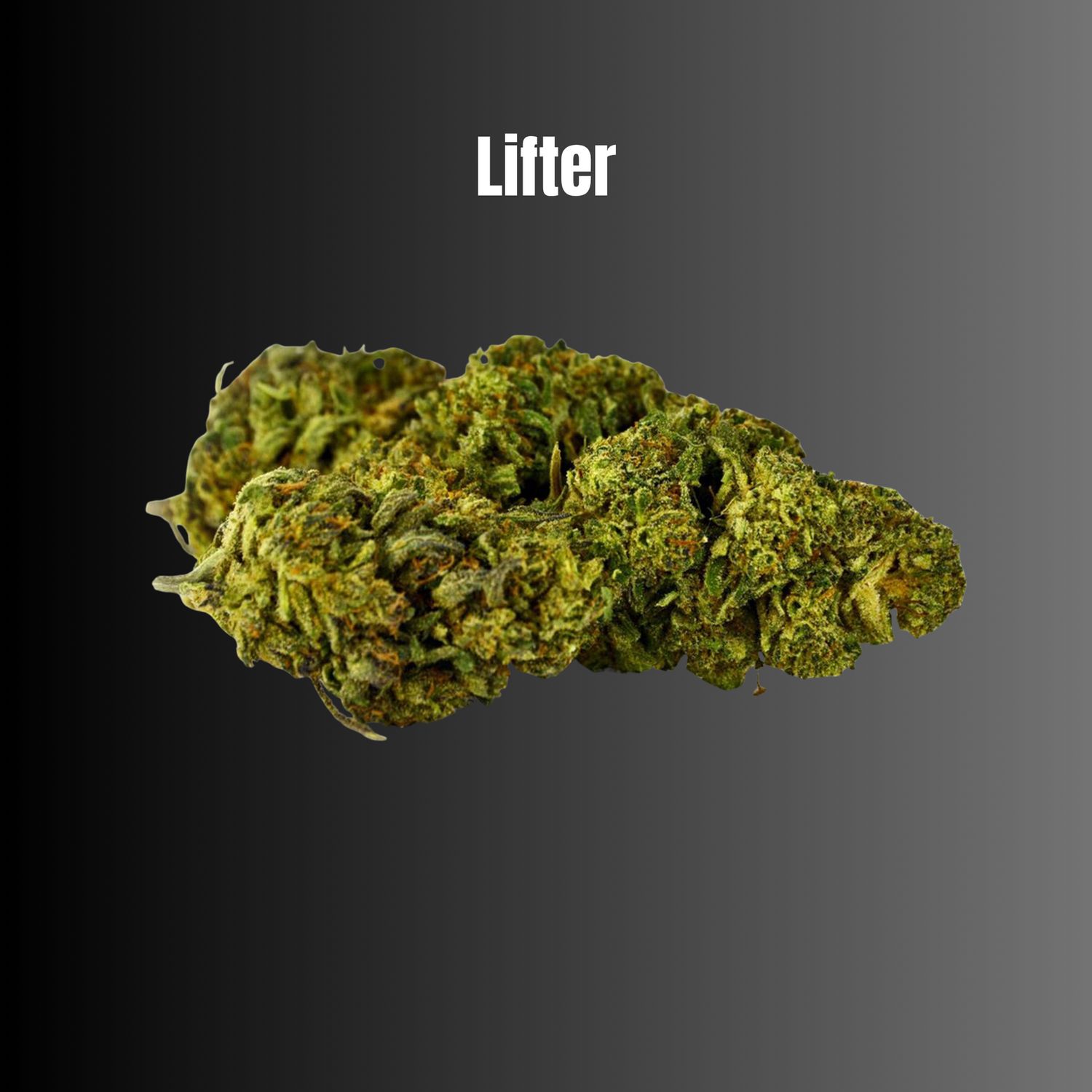 Lifter - Hybrid CBG Flower