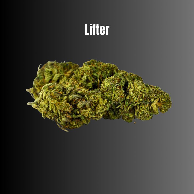 Lifter - Hybrid CBG Flower