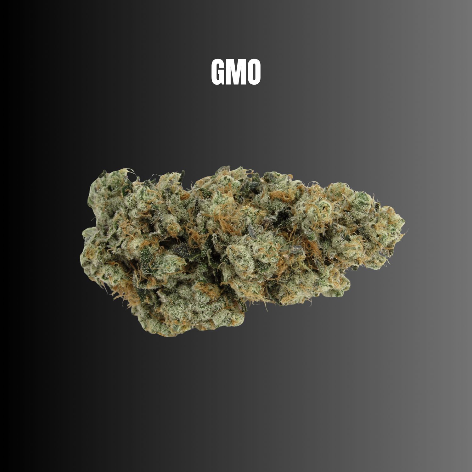 GMO - Indica THCA Flower