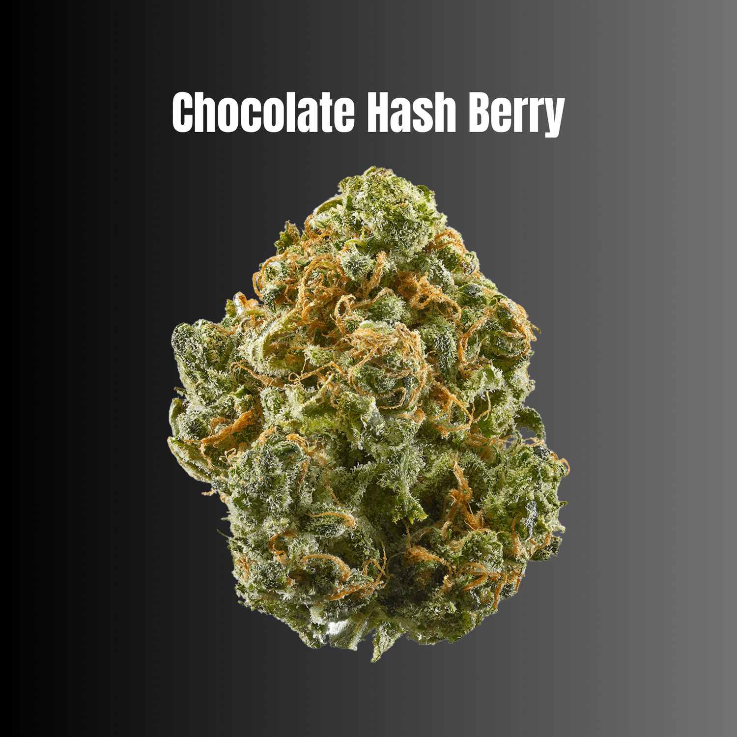 Chocolate Hash Berry - Hybrid THCA Flower