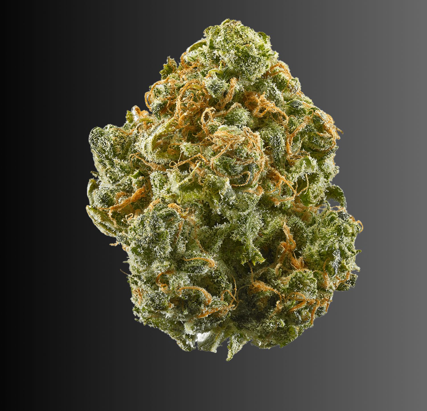 Alien OG - Hybrid THCA Flower
