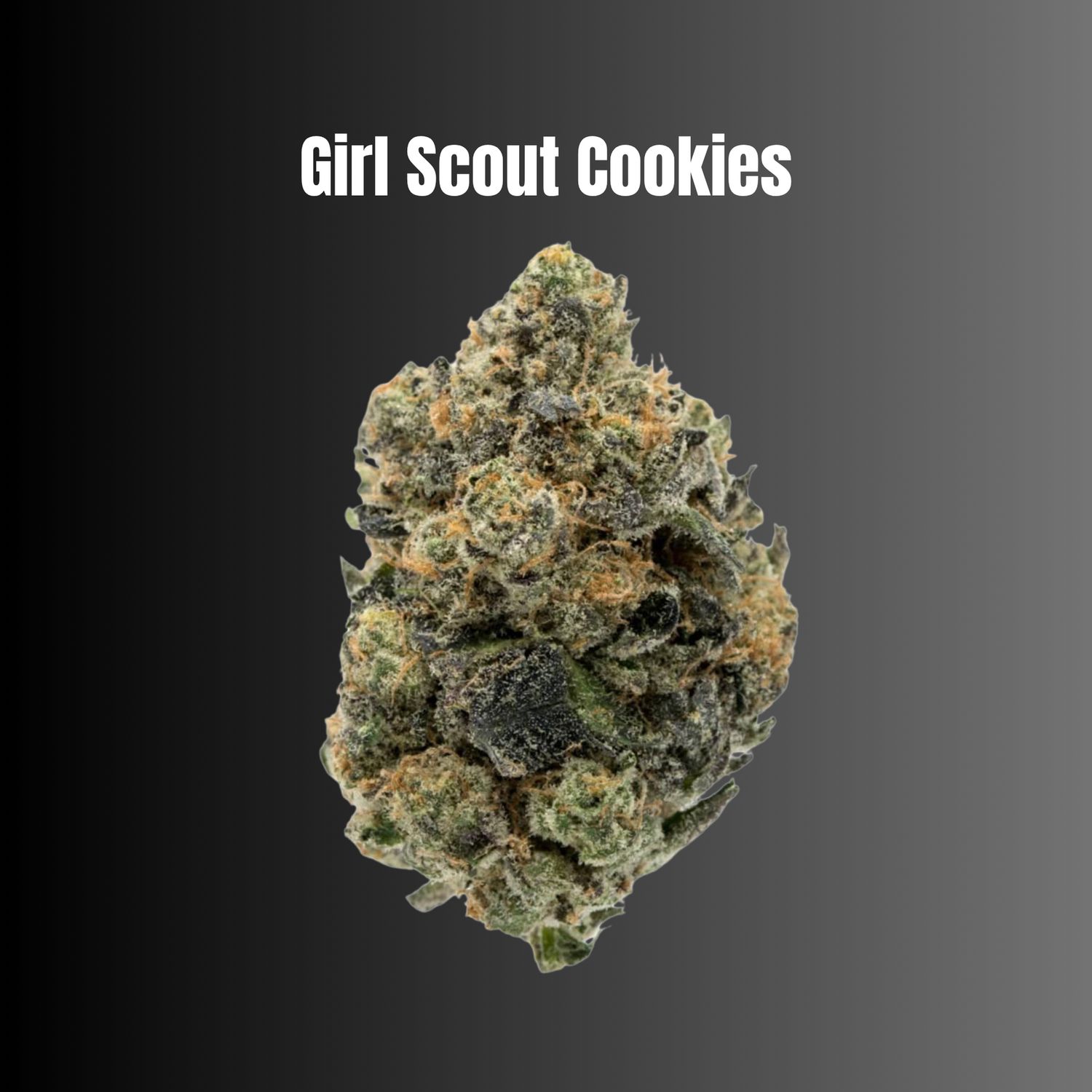 Girl Scout Cookies - Indica THCA Flower