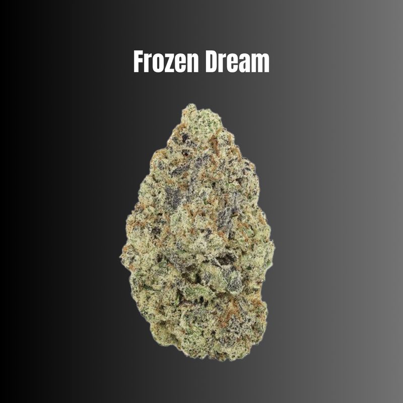 Frozen Dream - Sativa THCA Flower