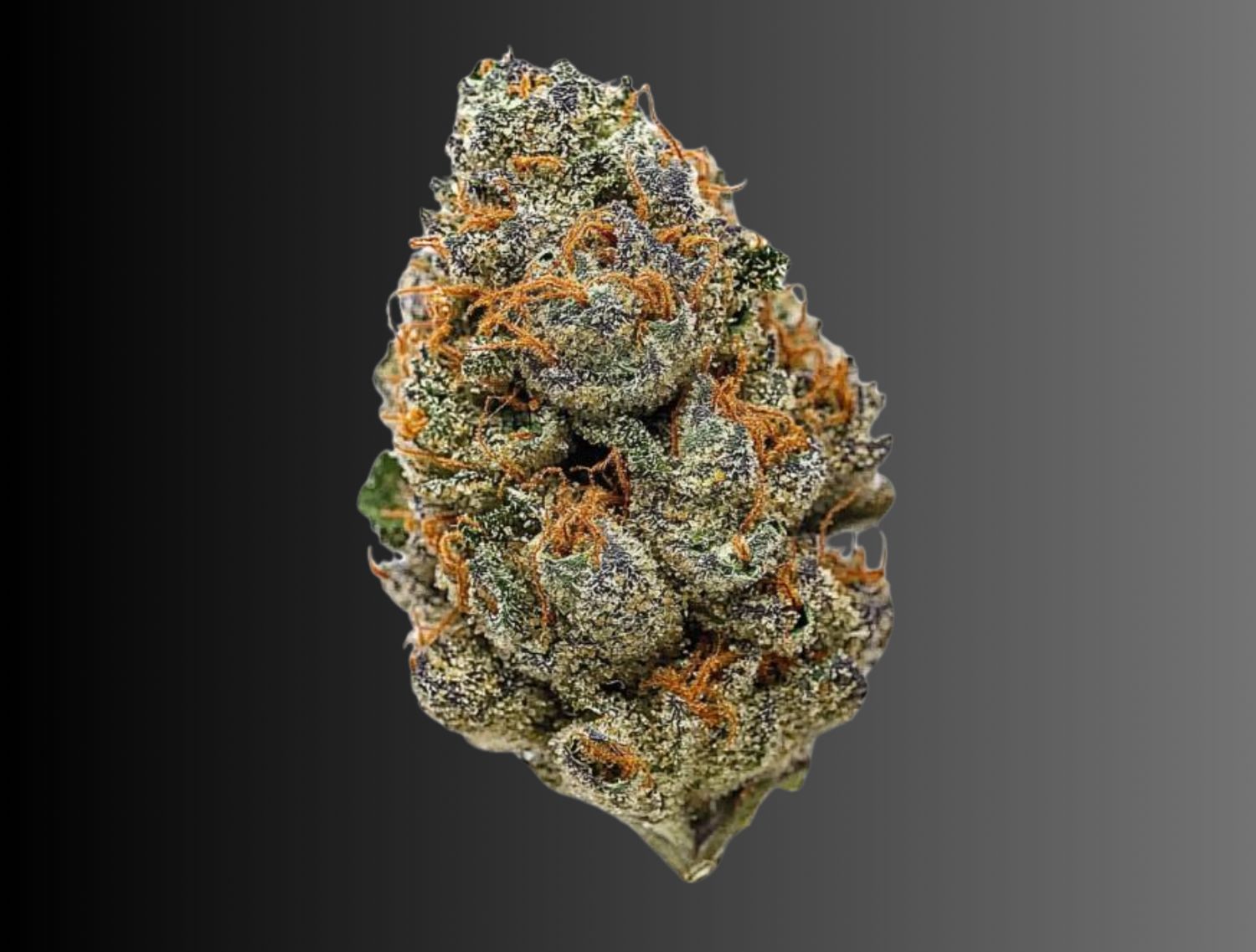 Candy Hustle - Indica THCA Flower