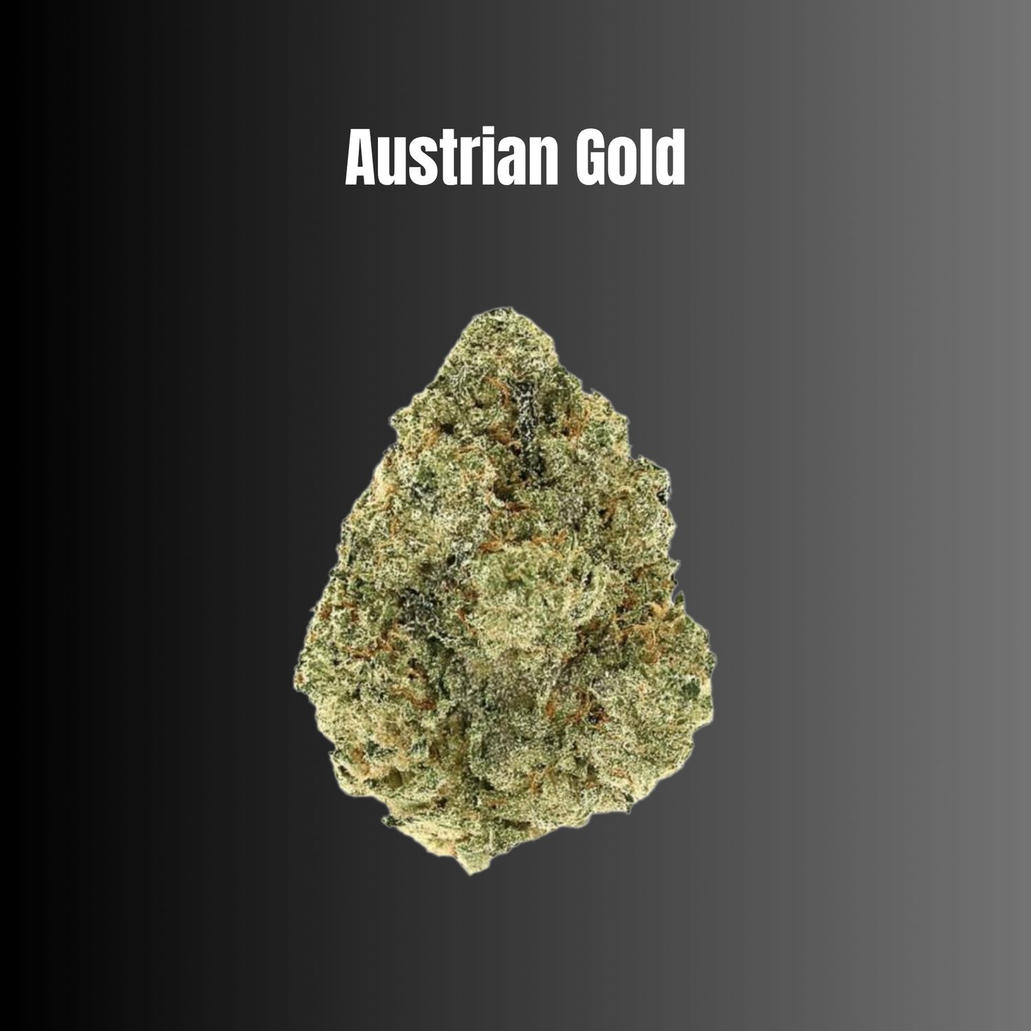 Austrian Gold - Sativa THCA Flower