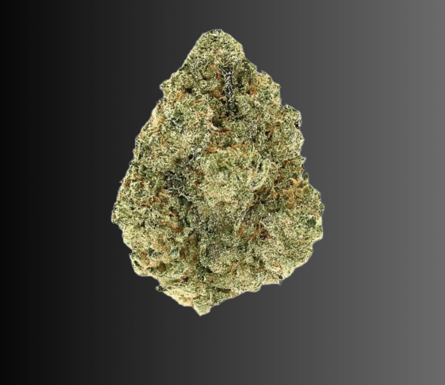 Bangkok Purple - Sativa THCA Flower