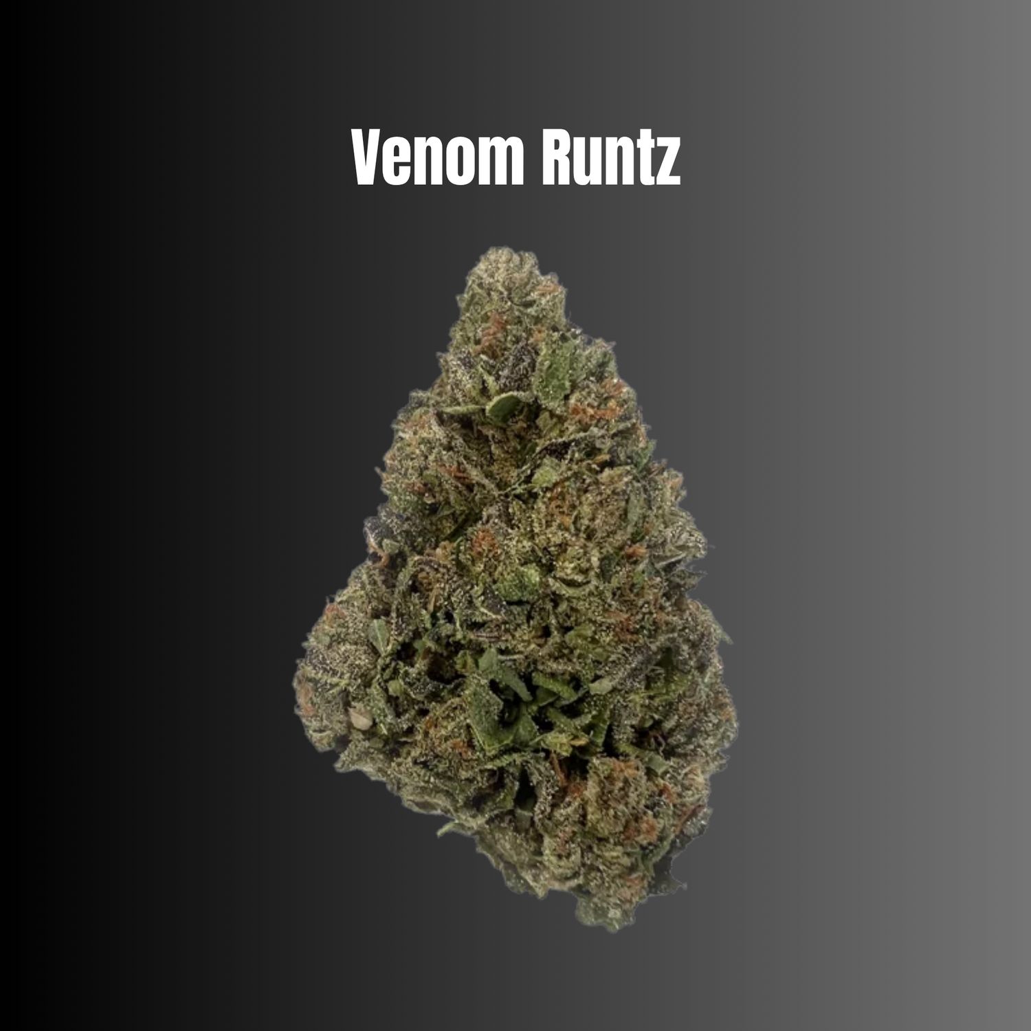 Venom Runtz - Hybrid THCA Flower
