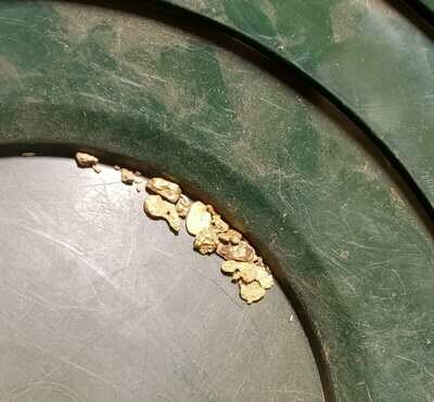 3 pound paydirt - 3 grams of CHUNKY NUGGETY gold 3 pound paydirt - 3 grams of CHUNKY NUGGETY gold