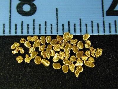 #14 Mesh Gold Nuggets: Tiny Treasures, Immense Satisfaction #14 Mesh Gold Nuggets: Tiny Treasures, Immense Satisfaction
