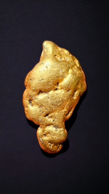 Huge California gold nugget for sale or trade. 198 grams