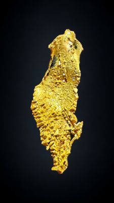 Ultra rare Round Mountain Mine leaf gold specimen 5.73 grams