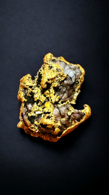 18.9 gram California gold nugget with quartz and arsenopyrite 18.9 grams