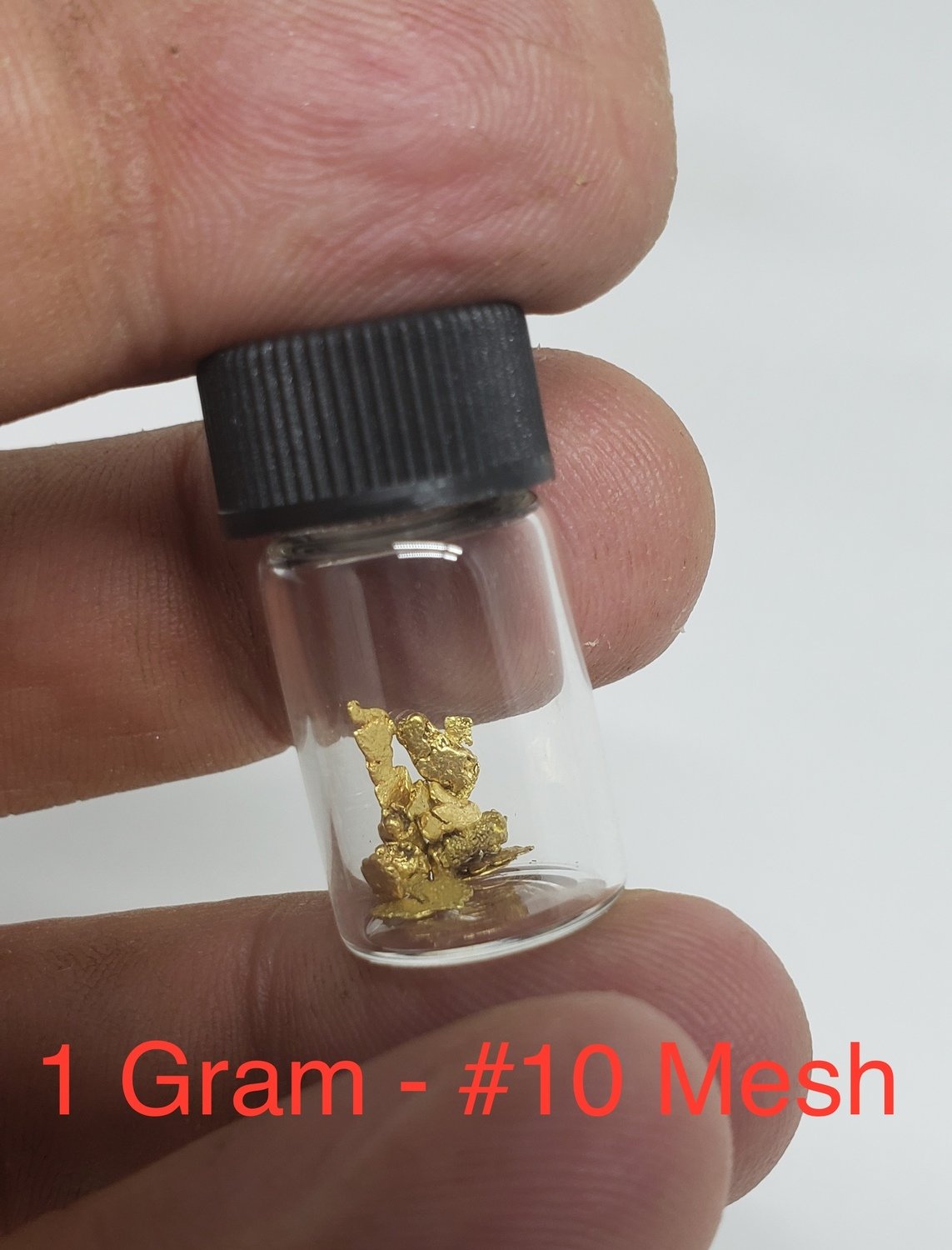 #10 Mesh Gold Nuggets - 1 gram of #10 gold #10 Mesh Gold Nuggets - 1 gram of #10 gold
