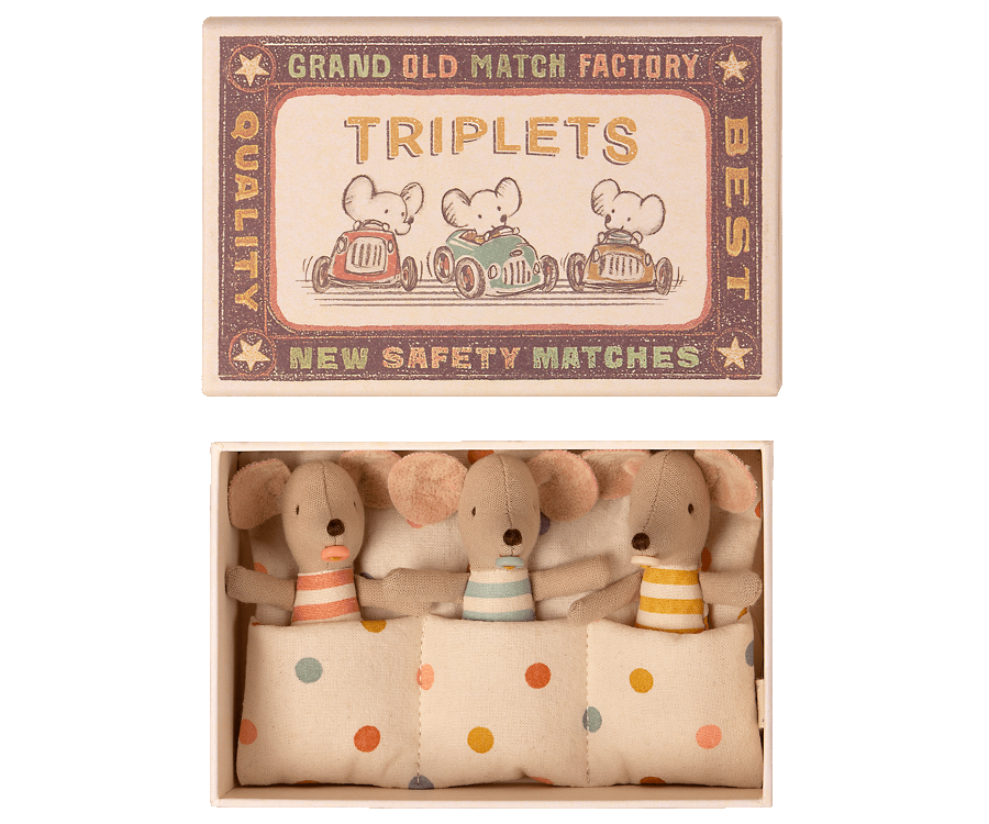Triplets - Baby Mice In Match Box