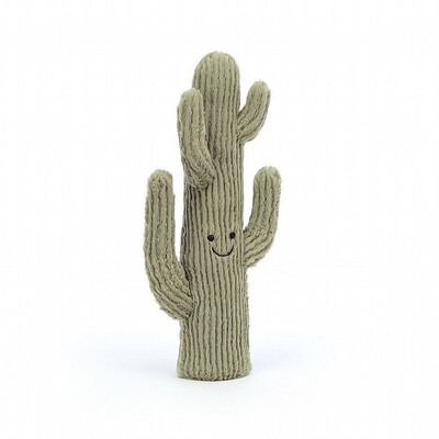 Small Amusable Desert Cactus
