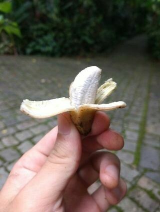 Truly Tiny