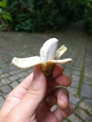 Truly Tiny