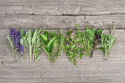 Herbs