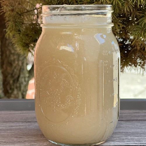 Sea Moss (Gel), 16oz: Irish