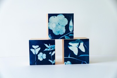 Cyanotype Print - Flora & Fauna Series I - 3 Leaf Clovers
