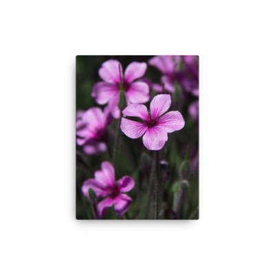 California Purple Flowers - 12x16 Canvas