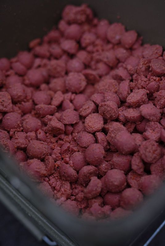 Packs découverte 25% Réduction