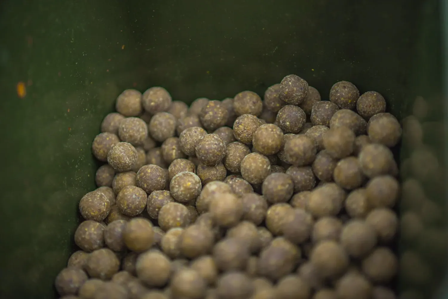 Pack découverte Fish X