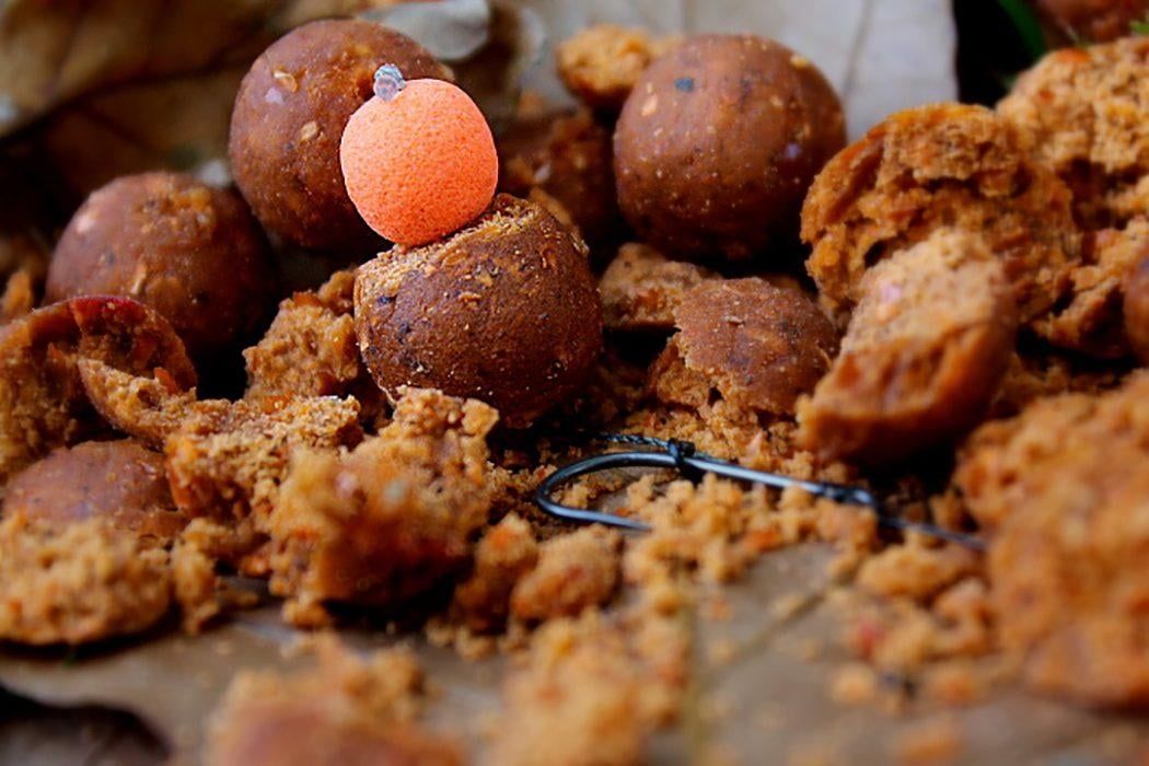 Pack découverte Fish 'N Tutti