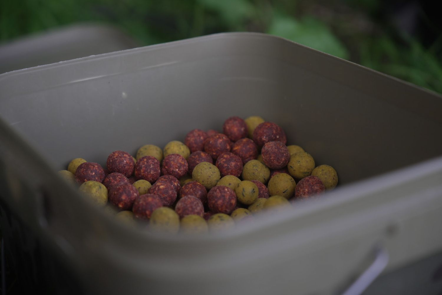 Packs promotionnels - Sweet Temptation &amp; Fish 'N Tutti