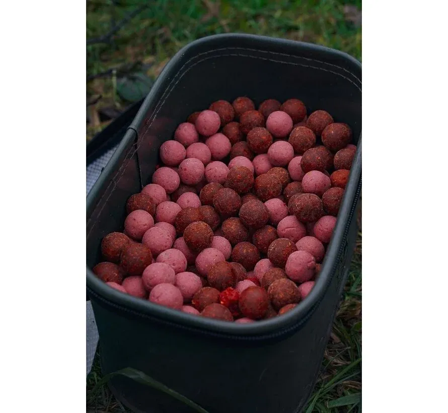 Packs promotionnels Pink Punch &amp; Fish 'N Tutti