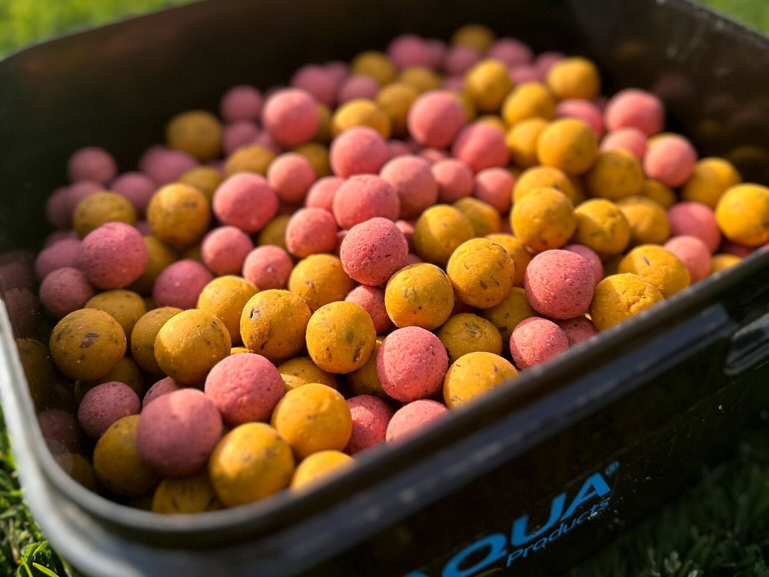 Packs promotionnels - Pink Punch &amp; Sweet Temptation