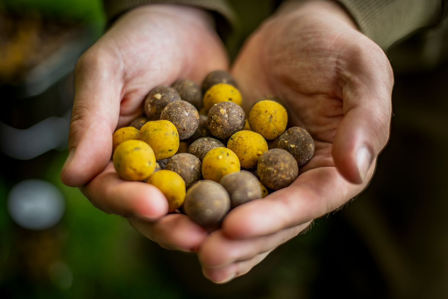 Packs promotionnels  - Sweet Temptation &amp; Fish X