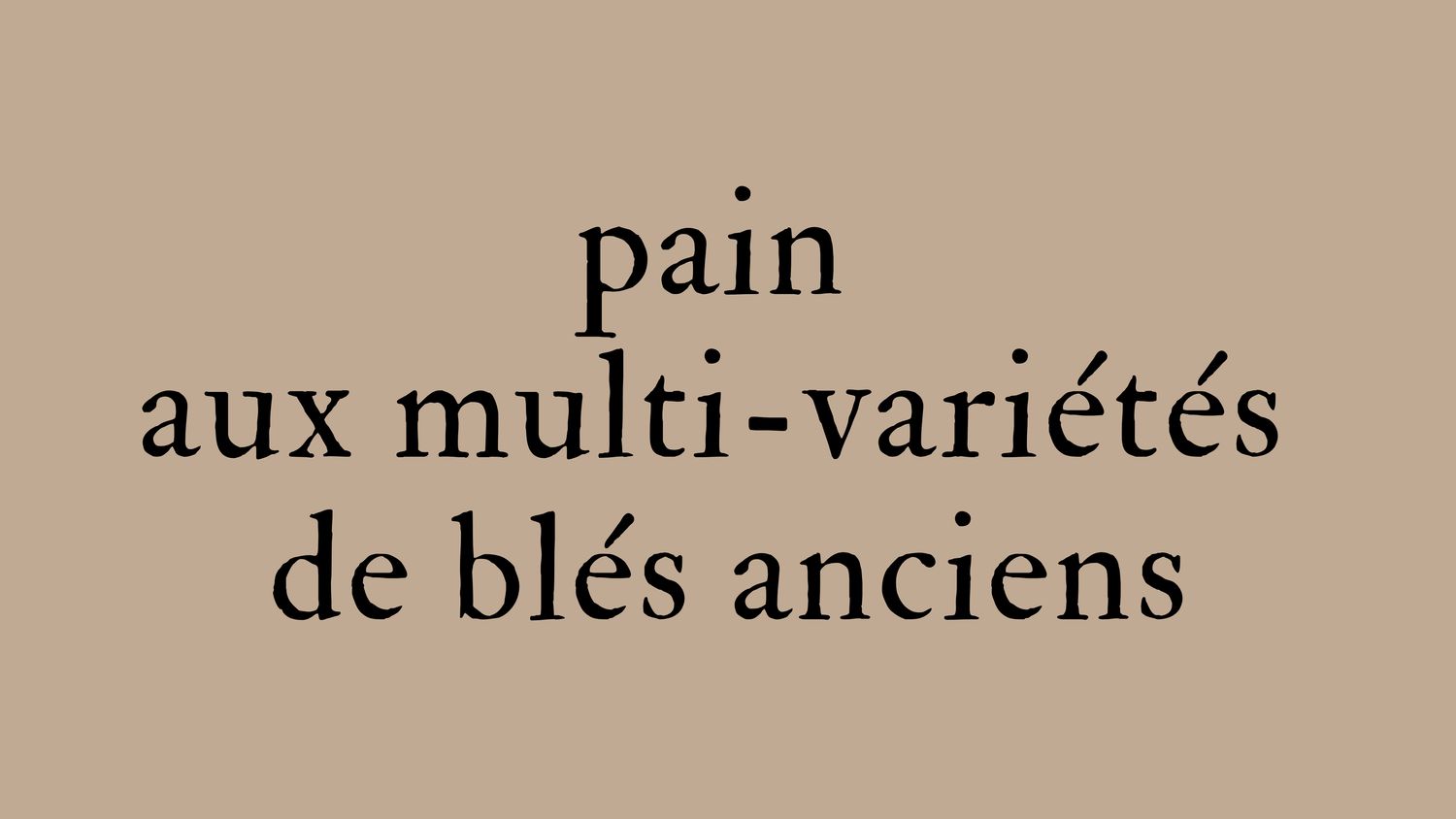 Pain aux multi-variétés de blés anciens