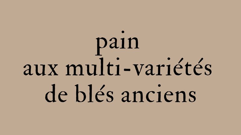 Pain aux multi-variétés de blés anciens